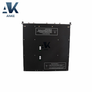 4210 Module d'extension à distance Triconex - Product Image 3