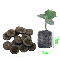 Pellets de tourbe pour pépinière, pour la plantation de fleurs de jardin, agriculture, bloc de terre verte pour la culture de semis