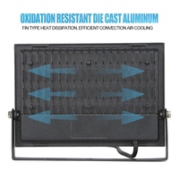 110V 220V Projecteur 50W 100W 150W 200W En Plein Air IP66 Noir Stade LED Lumière Crue Led Extérieur