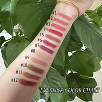 Kits de Maquillage 3-en-1 : Crayon à Lèvres et Gloss Véganes, Maquillage en Gros, Kits Cosmétiques Rouge à Lèvres et Crayon à Lèvres Marque Privée