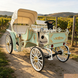 Chariot électrique touristique durable sans chevaux, style Victoria classique, pour parcs à thème et scènes de photographie en extérieur - Product Image 1