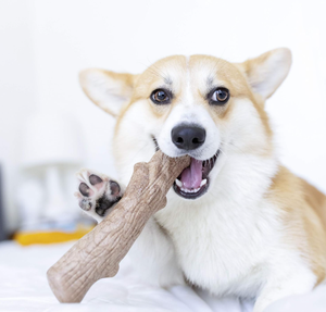 Jouet à mâcher pour <span class=keywords><strong>chien</strong></span> interactif en bois naturel bon marché et durable en gros pour nettoyer les dents des chiens - Product Image 5