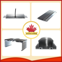 Dissipateur thermique personnalisé Mapleleaf pour LED, plaque de dissipateur thermique en aluminium, dissipateur thermique extrudé en aluminium
