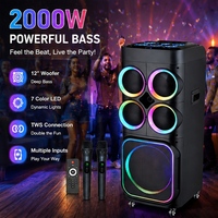 Enceinte karaoké portable MT-1202 de 12 pouces, enceinte de fête extérieure avec LED RGB