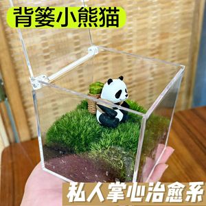 Miniatura de Paisaje de Musgo Panda, Regalo Creativo, Decoración de Escritorio, Jardín Privado en Botella Ecológica, Planta Verde de Oficina, Planta Pequeña en Maceta, Producto Terminado - Product Image 3