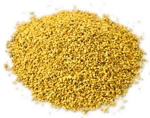 Wholesale Bee Pollen Organic High Quality Pollen Bee