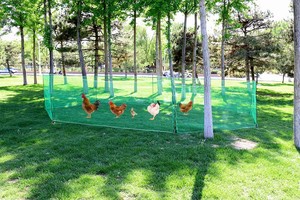 Clôture temporaire pour chiens et animaux de compagnie – Piquets d'ancrage <span class=keywords><strong>au</strong></span> sol en plastique écologique, cordes pare-vent pour neige/poulets/<span class=keywords><strong>jardin</strong></span> - Product Image 4