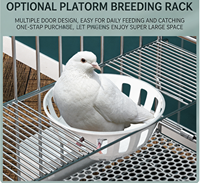 Cage à pigeons pour l'élevage domestique, cage à pigeons avec séparateur pour la reproduction et l'élevage