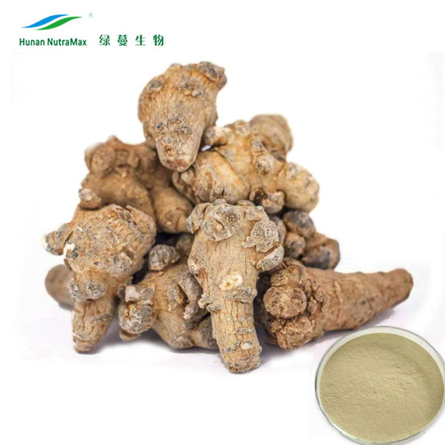 Radix Panax Notoginseng Tienchi Ginseng Root Sanqi Powder