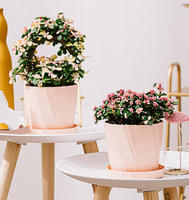 Divers pots de fleurs pour plantes d'intérieur, de jardin et d'extérieur