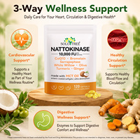 Complément de Nattokinase Sans OGM Marque Blanche SOLOTREE 10000 FU, Capsules Molles d'Extrait de Natto avec Huile MCT, Curcuma, Gingembre et CoQ10
