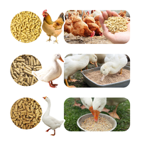 Machine à granulés électriques pour la production d'aliments pour volailles à petite échelle, idéale pour un usage domestique et les petites exploitations agricoles