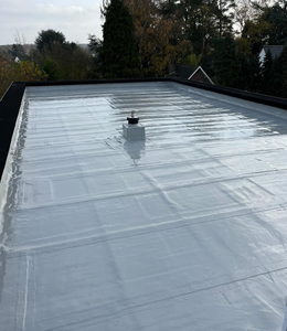 Revestimiento de <span class=keywords><strong>Poliurea</strong></span> Poliaspártica para Concreto, Alta Densidad, Alta Resistencia a la Abrasión, para Exteriores, Estacionamientos, Techos y <span class=keywords><strong>Terrazas</strong></span> - Product Image 5