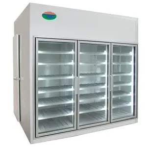 새로운 디자인 유리제 문 전시 청과를 위한 찬 방 냉장고에 있는 찬 방 도보