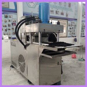 เครื่องทำถ่านกะลามะพร้าวแบบครบชุด ควบคุมด้วย PLC สำหรับทำถ่านอัดเม็ดสำหรับสัตว์เลี้ยง - Product Image 4