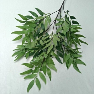 <span class=keywords><strong>Feuilles</strong></span> de <span class=keywords><strong>saule</strong></span> artificielles en soie verte d'approvisionnement d'usine pour la décoration d'événement - Product Image 1