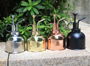 300ml En Acier Inoxydable Mini Plant Spritzer Premium Mat Noir Peinture Métal Mister Bouteille Décor Plante Pulvérisateur - Product Image 5