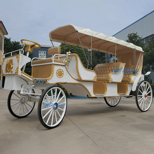 Carrosse de Victoria électrique pour le tourisme et les mariages, transport spécial, prix usine, à vendre - Product Image 2
