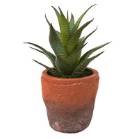 Oh Arts Fabricant Vente à Chaud Mini Plantes Succulentes Artificielles Pour Fenêtre Chambre Bureau Décor