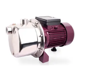 RUIQI harga pabrik JS100 750W kepala tinggi aliran listrik Motor DAYA SS pompa air 1HP tekanan Bomba pompa JET