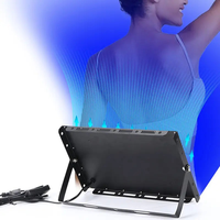 Machine de solarium professionnelle sans UV Design bleu moderne Source de lumière LED lit de bronzage Salon de maison lampadaires faciaux en aluminium