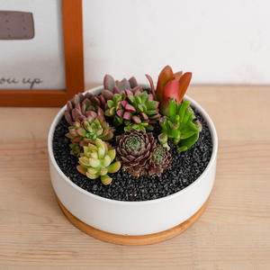 Vente flash : Jardinière géante moderne en céramique blanche émaillée avec soucoupe en <span class=keywords><strong>bambou</strong></span>, écologique, durable, rectangulaire, pour plantes succulentes, au sol - Product Image 5