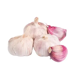 China'S Sinofarm Brand Sells Premium Fresh And White Garlic At Wholesale Prices