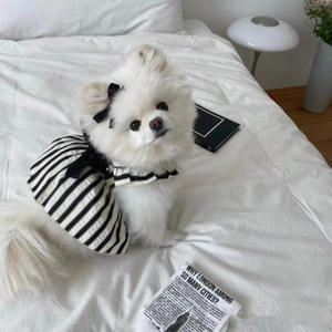 Belle robe pour chien en maille imprimée, confortable, de luxe, couleur princesse, pour le printemps et l'été, pour les grands chiens - Product Image 6