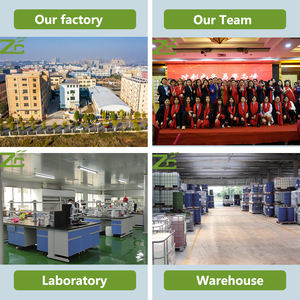 Suministro de fábrica OEM 100% <span class=keywords><strong>Thuja</strong></span> puro y natural/aceite esencial de arborvitae Oriental para el cuidado de la piel - Product Image 5