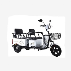 Triciclo Eléctrico Personalizable de 3 Ruedas para Adultos con Potencia de 500W, Carrocería Abierta, Certificado EEC - Product Image 1
