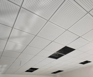 Acoustic Panel Perforated Sound Absorption Board for Office Building Minimalist Design <b>Glue</b> Installation - Product Image 6