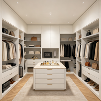 Dressing moderne de luxe pour chambre à coucher, armoire en U avec éclairage et porte en verre aluminium pour appartement ou villa