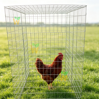 Enclos volant carré 70x70 pour poulaillers et cages à animaux, enclos pour volailles de combat, enclos pour canards, pour volailles et lapins