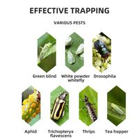 Fabrieksgroothandel op maat gemaakte kleverige fruitvliegenvallen, hangende insectenbestrijding, ongediertebestrijding voor Amerikaanse maten insectenvallen.