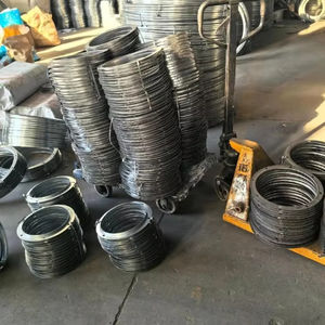 Brides en acier au carbone résistant à la corrosion durables pour les usines de traitement de l'eau, les systèmes de chaudière et les tuyaux agricoles - Product Image 1