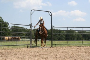 Stylo rond de cheval enduit de poudre portative verte démontable de 12 pieds en métal/panneaux galvanisés résistants de barrière de cour de cheval de bétail