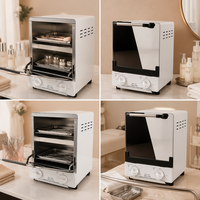 Stérilisateur miniature haute température 12L pour salon de manucure et usage domestique, armoire de désinfection à chaleur sèche 600W
