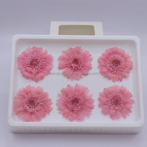 Prix d'usine abordable – <span class=keywords><strong>Fleurs</strong></span> de marguerite <span class=keywords><strong>stabilisées</strong></span> et éternelles de 5-6 cm pour bouquets de décoration - Product Image 3