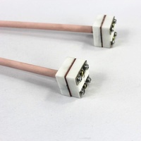 Thermocouple Platine-Rhodium Type B WRR-010 en Alumine Diamètre 8mm Petit Modèle 1600 Degrés Support Personnalisé Disponible