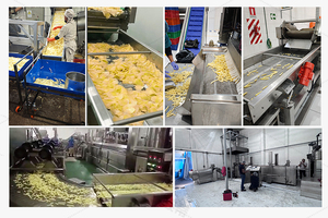 Shepody Linea di Produzione Automatica per Patatine Fritte Surgelate e Chips di Patate 100-5000kg/h, Macchinario per Frittura - Product Image 4