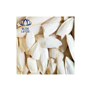 Premium CUTTLEFISH BONE Calcium For <b>Pet</b> <b>Food</b> The Low cost a Good Choice For You From Vietnam - Product Image 1