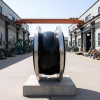 Joint de dilatation sphérique simple en caoutchouc EPDM DN40, type fileté PN10 pour système de protection incendie