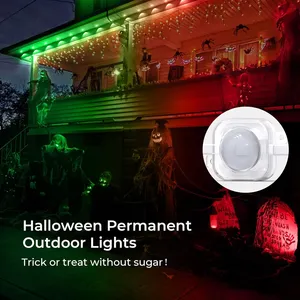 Customized Holiday Decoration Aluminum Rgb Led Pixel Outdoor Permanent Addressable Christmas Led Point Light Waterproof
