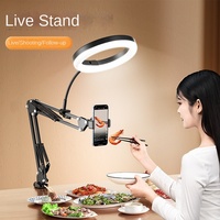 Anneau lumineux LED cantilever de 10 pouces de haute qualité avec support de téléphone, température de couleur réglable, CRI élevé Ra>95 pour l'éclairage TikTok