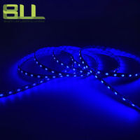 Smd 5050 60leds azul solo color Flex iluminación de decoración inteligente para pasillo de hotel luz LED inteligente
