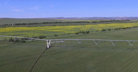 Nouveau système d'arrosage d'irrigation par pivot à centre de déplacement linéaire à prix d'usine boîte de vitesses de moteur de construction en métal pour les cultures agricoles