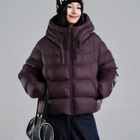 JANVENY 2025 Nouvelle veste courte matelassée à capuche et fermeture éclair pour femme, manches longues, épaisse et chaude, 90% duvet de canard blanc