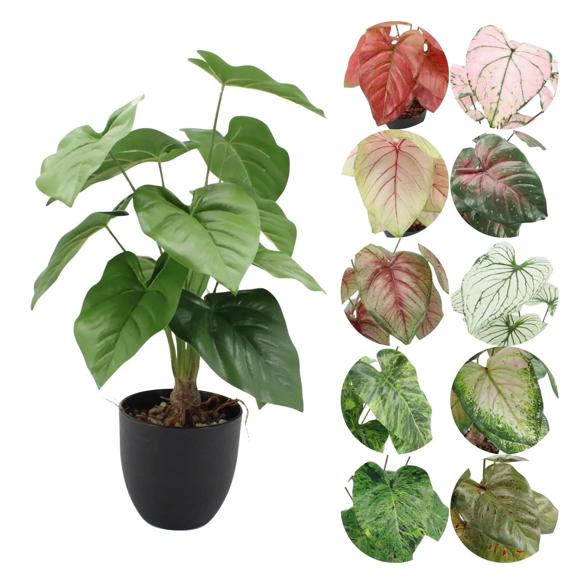 Wholesale Artificial Plants Faux Tropical Plants In Pot Caladium Small Houseplant Artificial Caladium Potted Plant