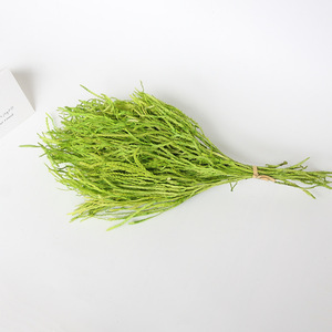 ยูนันขายส่งดอกยูลาลิโอปซิส บินาต้าแห้งสวยงามสำหรับตกแต่งงานแต่งงาน - Product Image 5