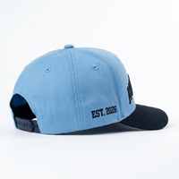 Gorra de Béisbol Personalizada Vintage con Bordado 3D en Relieve, de Dos Tonos, 5 Paneles, Visera Curva y Estructurada, Venta al Por Mayor